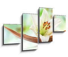 Obraz 4D čtyřdílný - 100 x 60 cm F_IS29781120 - Beautiful white lily flower on a coco palm leaf