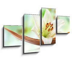 Obraz 4D tydln - 100 x 60 cm F_IS29781120 - Beautiful white lily flower on a coco palm leaf