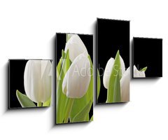 Obraz 4D tydln - 100 x 60 cm F_IS29886850 - Tulips