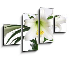 Obraz 4D tydln - 100 x 60 cm F_IS2991514 - easter lily - velikonon lilie