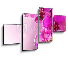 Obraz   Orchid Flower border design, 100 x 60 cm