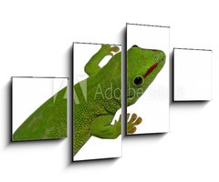 Obraz 4D tydln - 100 x 60 cm F_IS3016112 - lezard vert