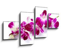 Obraz 4D tydln - 100 x 60 cm F_IS30514912 - Orchidea