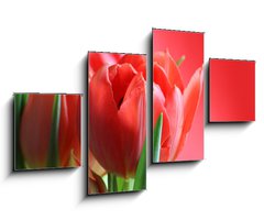Obraz 4D čtyřdílný - 100 x 60 cm F_IS30624551 - wiosna