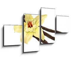 Obraz 4D tydln - 100 x 60 cm F_IS30979053 - Vanilla Bean and Flower (clipping path)