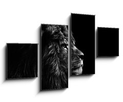 Obraz 4D tydln - 100 x 60 cm F_IS31175850 - Stunning facial portrait of male lion on black background in bla