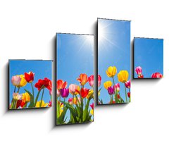 Obraz 4D tydln - 100 x 60 cm F_IS31333343 - Tulips in the sun