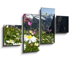 Obraz 4D tydln - 100 x 60 cm F_IS31412665 - Blumenwiese mit Gebirge im Hintergrund