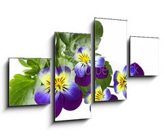 Obraz 4D tydln - 100 x 60 cm F_IS31960415 - Pansy - Maceka