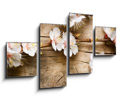 Obraz 4D tydln - 100 x 60 cm F_IS31985632 - Wood background with spring blossom - Devn pozad s jarn kvty