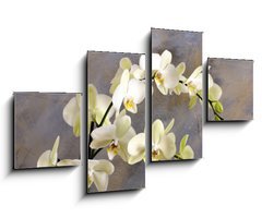 Obraz   Orchidea bianca, 100 x 60 cm