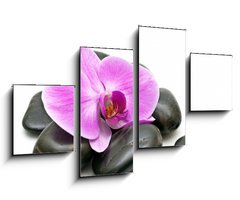 Obraz   Pink orchid and zen Stones on a white background, 100 x 60 cm