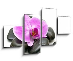 Obraz 4D tydln - 100 x 60 cm F_IS32153817 - Pink orchid and zen Stones on a white background - Rov orchidej a zen kameny na blm pozad