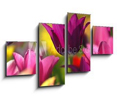 Obraz 4D tydln - 100 x 60 cm F_IS32429216 - Spring beauty - Jaro krsa