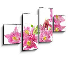 Obraz 4D tydln - 100 x 60 cm F_IS32871792 - Aquilegia Vulgaris Columbine
