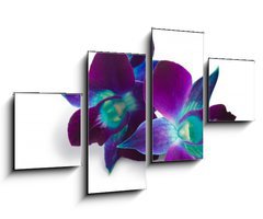Obraz   orchid, 100 x 60 cm