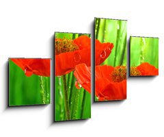 Obraz 4D tydln - 100 x 60 cm F_IS33343950 - Mohnbl ten