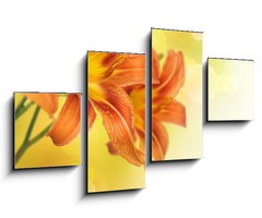 Obraz   Yellow Lily Flower border design, 100 x 60 cm