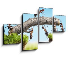 Obraz 4D tydln - 100 x 60 cm F_IS33747166 - teamwork, team of ants costructing bridge