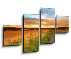 Obraz 4D tydln - 100 x 60 cm F_IS33827076 - A sunset photo of road and countryside