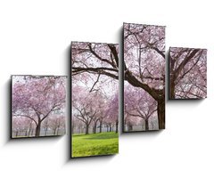 Obraz 4D tydln - 100 x 60 cm F_IS34040343 - Sakura