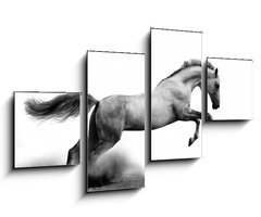 Obraz 4D tydln - 100 x 60 cm F_IS34235049 - silver-white stallion on black