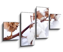 Obraz   cotton flower over branch, 100 x 60 cm