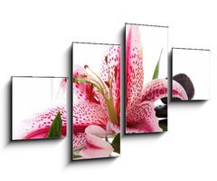Obraz 4D tydln - 100 x 60 cm F_IS34989427 - Steine,Lilium