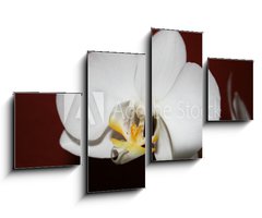 Obraz 4D tydln - 100 x 60 cm F_IS3521109 - orchidee