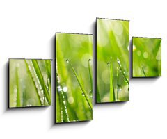 Obraz 4D tydln - 100 x 60 cm F_IS35733159 - Morning Dew