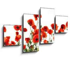Obraz 4D tydln - 100 x 60 cm F_IS357867320 - Beautiful red poppy flowers on white background. Banner design