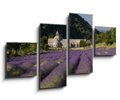 Obraz 4D tydln - 100 x 60 cm F_IS36106539 - Abbaye de Senanque