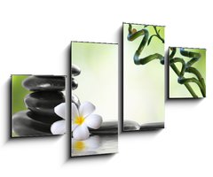 Obraz 4D tydln - 100 x 60 cm F_IS37043544 - Bamboo and frangipani for spa salon - Bambus a frangipani pro lzesk salon