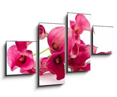 Obraz 4D tydln - 100 x 60 cm F_IS37226915 - Red Flower Calla