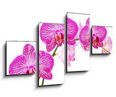 Obraz 4D tydln - 100 x 60 cm F_IS37898338 - Tralcio di orchidea