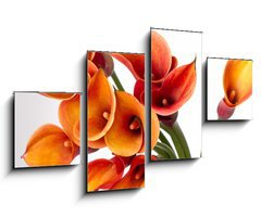 Obraz 4D tydln - 100 x 60 cm F_IS37918166 - Orange Calla lilies(Zantedeschia) over white