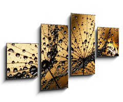 Obraz 4D tydln - 100 x 60 cm F_IS3821285 - wet dandelion seed