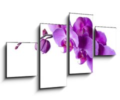 Obraz 4D tydln - 100 x 60 cm F_IS3828163 - orchid