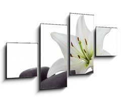 Obraz 4D tydln - 100 x 60 cm F_IS3953050 - madonna lily and spa stone