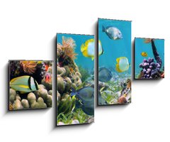 Obraz 4D tydln - 100 x 60 cm F_IS39646629 - Underwater panorama in a coral reef with colorful tropical fish and marine life - Podvodn panorama v korlovm tesu s barevnmi tropickmi rybami a moskm ivotem