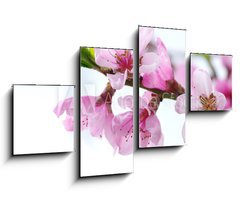 Obraz 4D tydln - 100 x 60 cm F_IS39835010 - pink blossoms