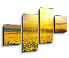 Obraz   Sunset over the field, 100 x 60 cm