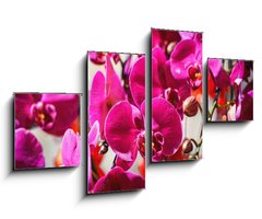 Obraz 4D tydln - 100 x 60 cm F_IS404163795 - Close
