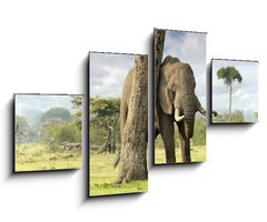 Obraz 4D tydln - 100 x 60 cm F_IS40503276 - African elephants