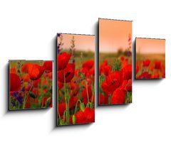 Obraz   Field of poppies on a sunset, 100 x 60 cm