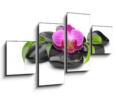 Obraz 4D tydln - 100 x 60 cm F_IS40752784 - orchid