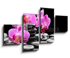 Obraz 4D tydln - 100 x 60 cm F_IS40752844 - orchid