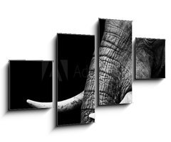 Obraz   African Elephant Close Up, 100 x 60 cm