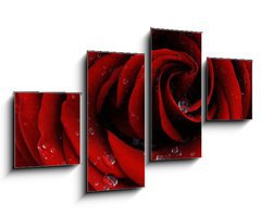 Obraz 4D tydln - 100 x 60 cm F_IS41252585 - Red rose closeup