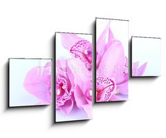 Obraz 4D tydln - 100 x 60 cm F_IS41582656 - beautiful pink orchid against blue background
